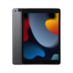 Apple iPad 4G LTE Tablet apple a13/3gb/256gb/10.2p/iPadOS 15/gris