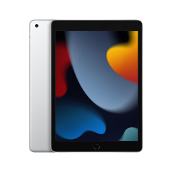 Apple iPad 256 GB 25,9 cm (10.2 ) 3 GB Wi-Fi 5 (802.11ac) iPadOS 15 Plata